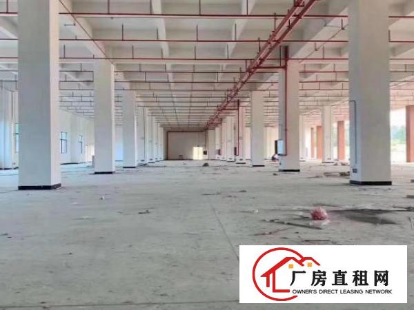  标准实际面积出租，原房东。