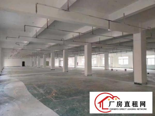  标准实际面积出租，原房东。