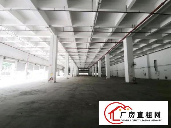  坪山原房东大型工业园红本厂房16849.45平方7.5米高