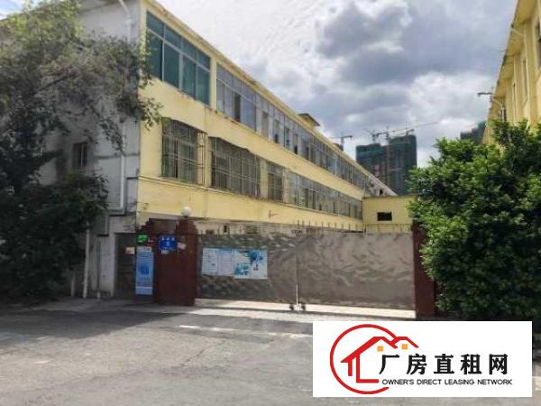  新盘来袭，坪山碧岭昌盛路6号独院厂房4700平米出租，