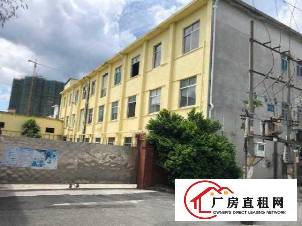  新盘来袭，坪山碧岭昌盛路6号独院厂房4700平米出租，