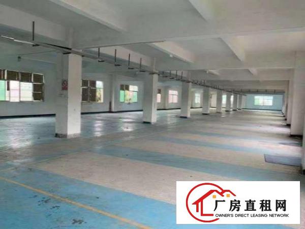 出租坪山石井工业区独门独院7500平米，可以分租，6年合同