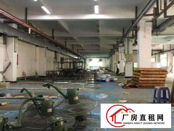  出租坪山石井工业区独门独院7500平米，可以分租，6年合同