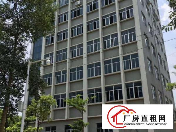  坪山高端写字楼出租可大小分租