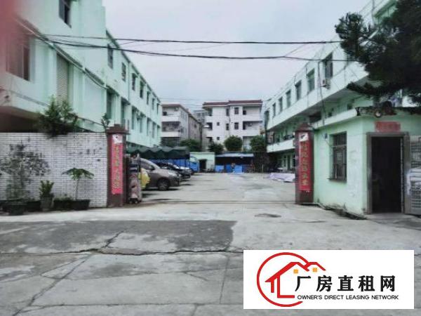  深圳坪山业主厂房直租可分组带现成办公室装修