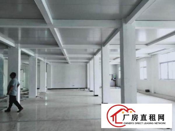  深圳坪山业主厂房直租可分组带现成办公室装修