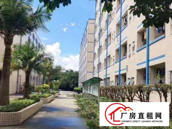  坪山做学校红本厂房91000平