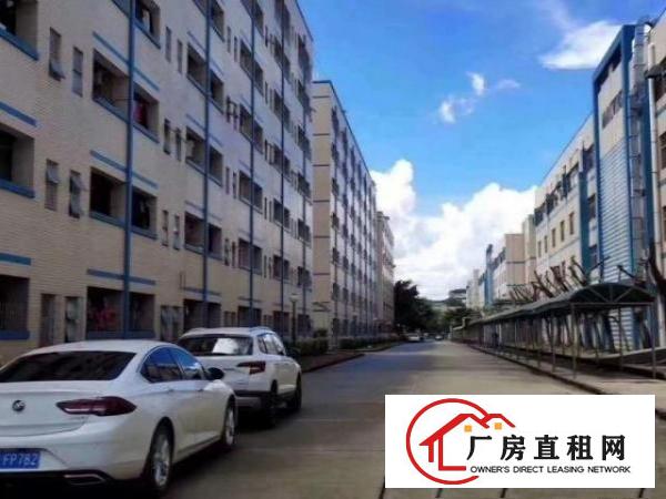  坪山做学校红本厂房91000平