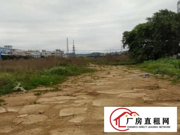  坪山超大空地招租，适合做各种行业