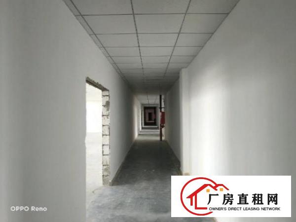  坪山小面积厂房200-500平米出租