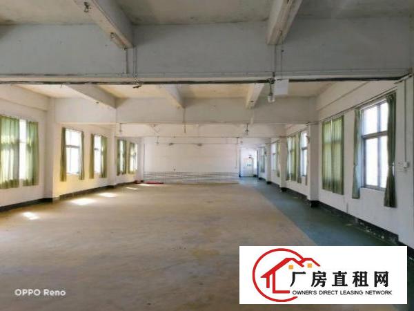  坪山小面积厂房200-500平米出租