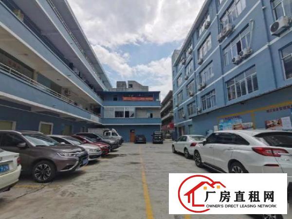  六联原房东厂房出租，仅离坪山高铁站200米