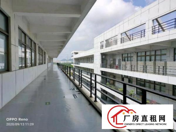  坪山大型高新科技园整层5200平米出租有红本