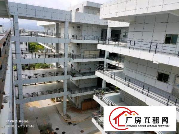  坪山大型高新科技园整层5200平米出租有红本
