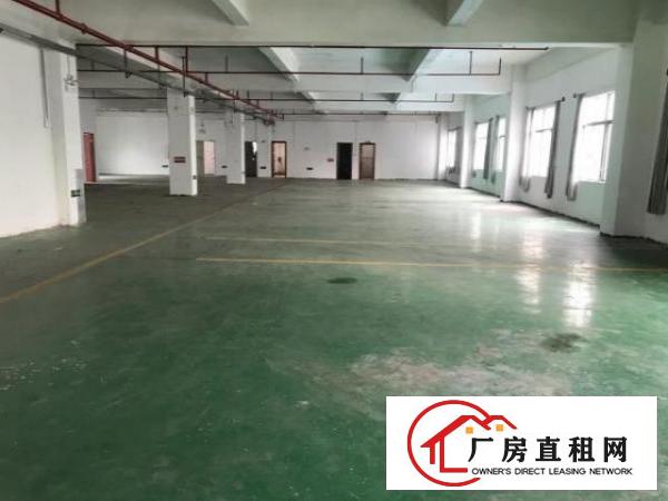  坪山大工业区新出1100平精装红本厂房出租