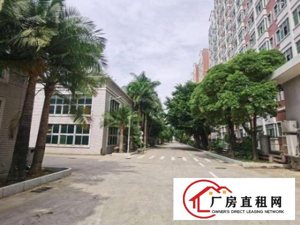 坪山大工业区新出1100平精装红本厂房出租