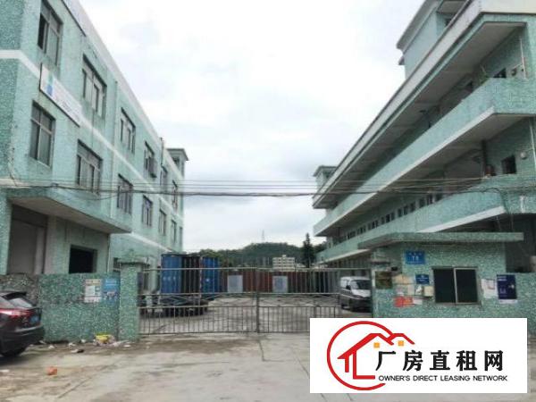  坪山碧岭工业区780平米带精装修厂房出租免转让费