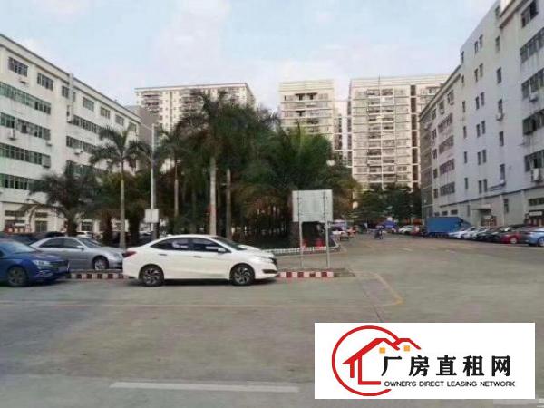  坪山马峦新出红本厂房三楼970平方招租，面积实在，带精装修