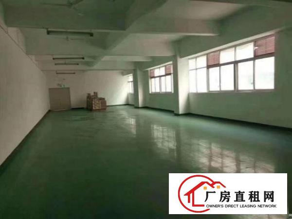  坪山马峦新出红本厂房三楼970平方招租，面积实在，带精装修