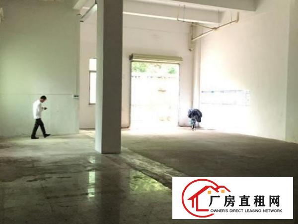  出租坪山区新出一楼320平米原房东厂房出租，高6米
