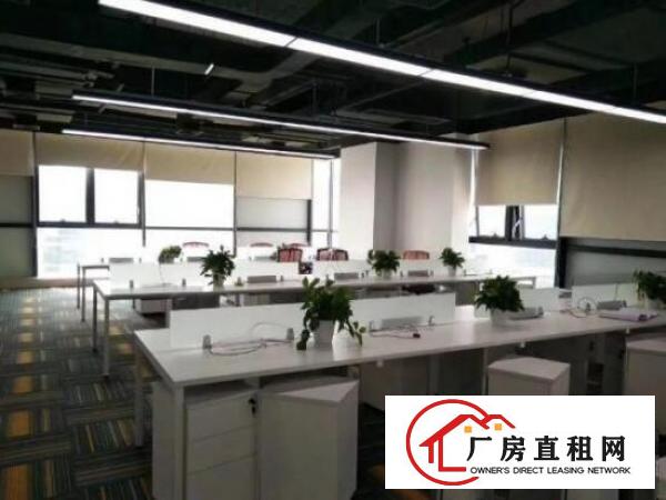  坪山大工业区50到800平米精装修电商产业园厂房出租