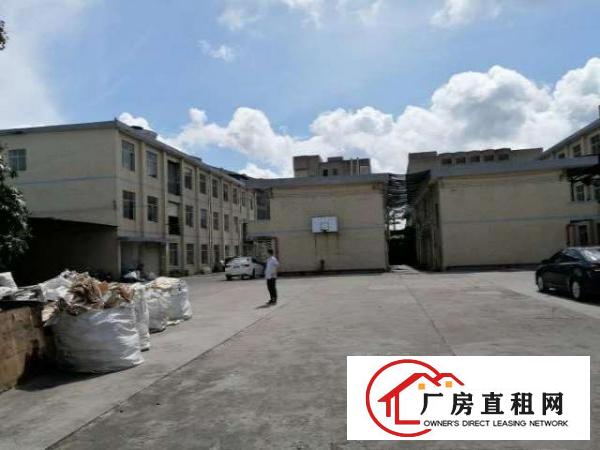  出租坪山区石井路口附近独栋钢构厂房1000平方，高度8米