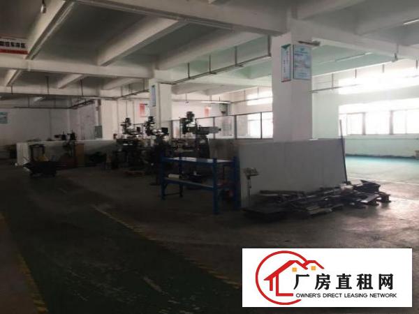  坑梓附近新出标准厂房一楼500平，可分租。