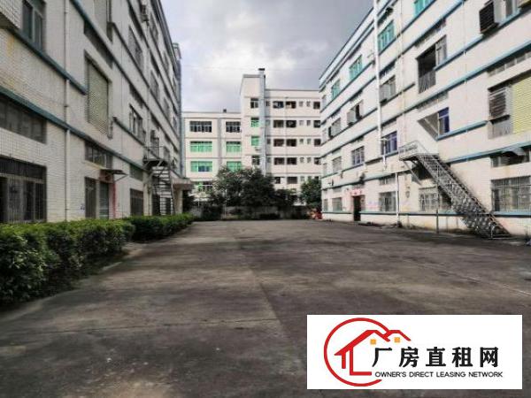  坑梓附近新出标准厂房一楼500平，可分租。