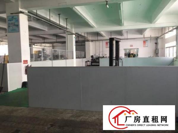  坑梓附近新出标准厂房一楼500平，可分租。