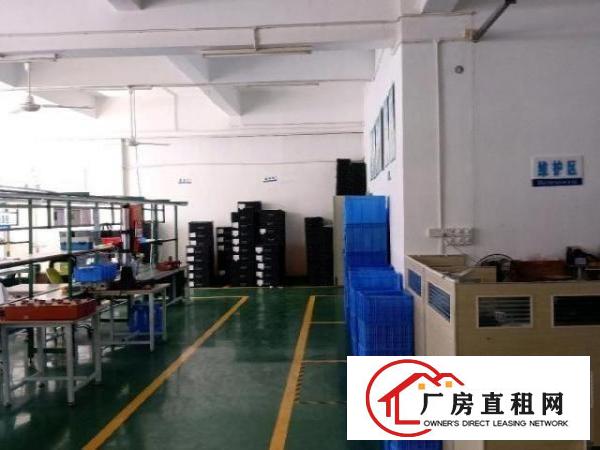  坑梓新出一楼带装修厂房500平，配套齐全