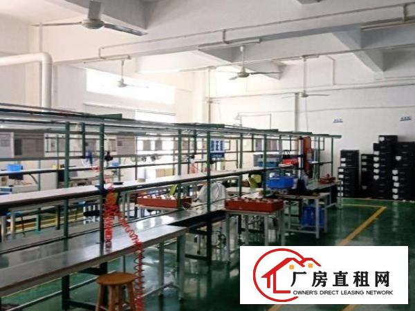  坑梓新出一楼带装修厂房500平，配套齐全