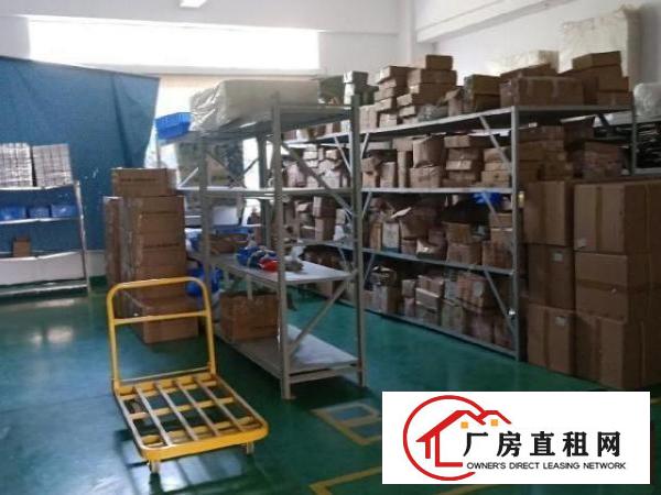  坑梓新出一楼带装修厂房500平，配套齐全