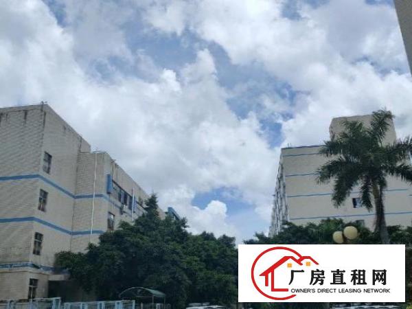  深圳稀有可做学校场地空地大有红本合同15年