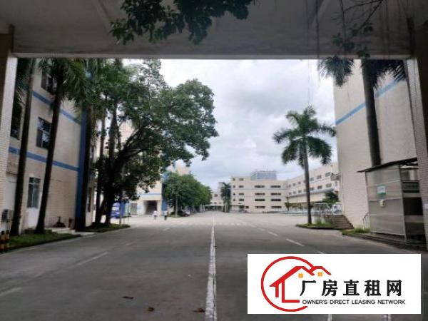 深圳稀有可做学校场地空地大有红本合同15年