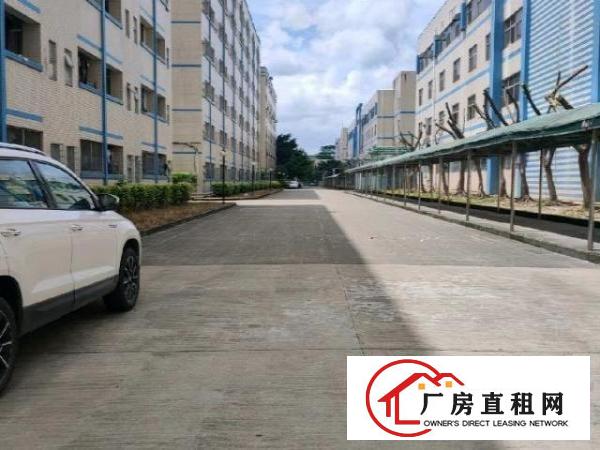  深圳稀有可做学校场地空地大有红本合同15年