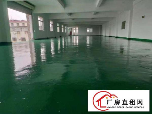  坪山碧岭新出无尘车间589平无转让费无公摊可办环评