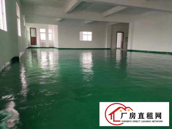  坪山碧岭新出无尘车间589平无转让费无公摊可办环评