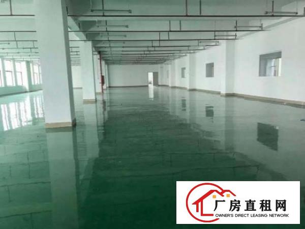  坪山碧岭新出无尘车间589平无转让费无公摊可办环评