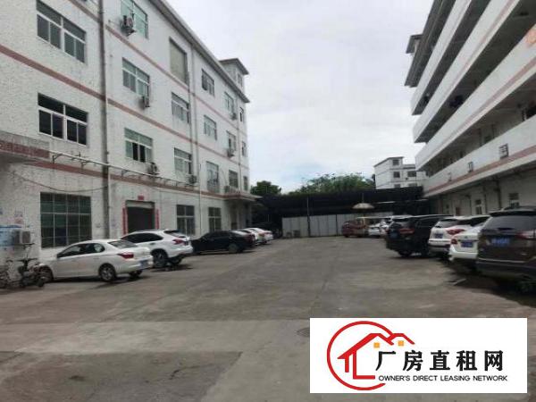  坪山碧岭新出无尘车间589平无转让费无公摊可办环评