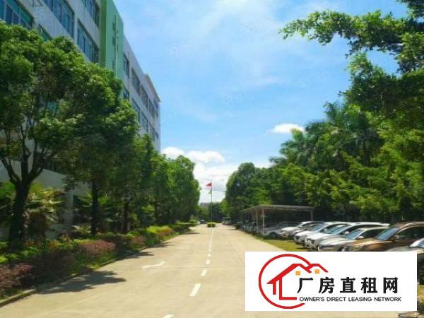  现成装修！无转让费！坪山大工业区楼上200平精装修厂房出租