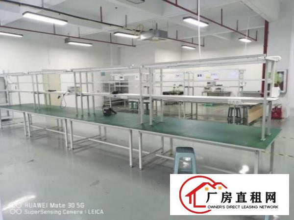  标准厂房，现成地坪漆，形象好适合各种生产