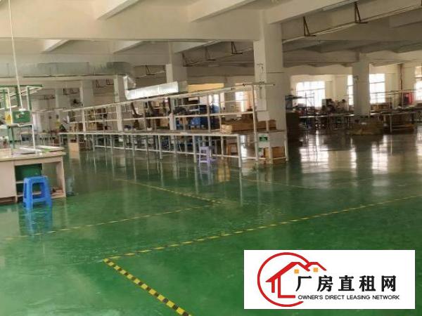  标准厂房，现成地坪漆，形象好适合各种生产