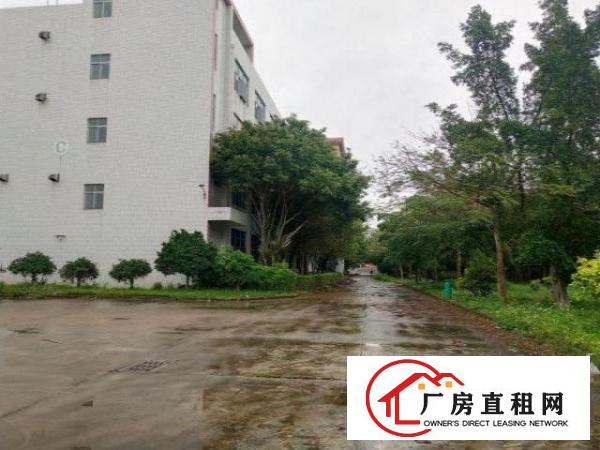  出租坪山区六联花园式园区三楼1000平方厂房招租！价格便