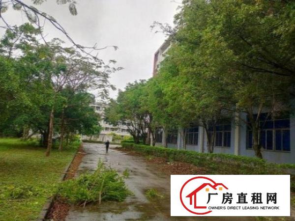  出租坪山区六联花园式园区三楼1000平方厂房招租！价格便