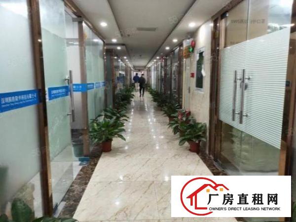  深圳坪山中心位置带精装适合办公350电商厂房出租