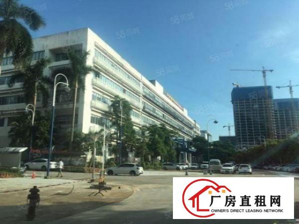  深圳坪山中心位置带精装适合办公350电商厂房出租