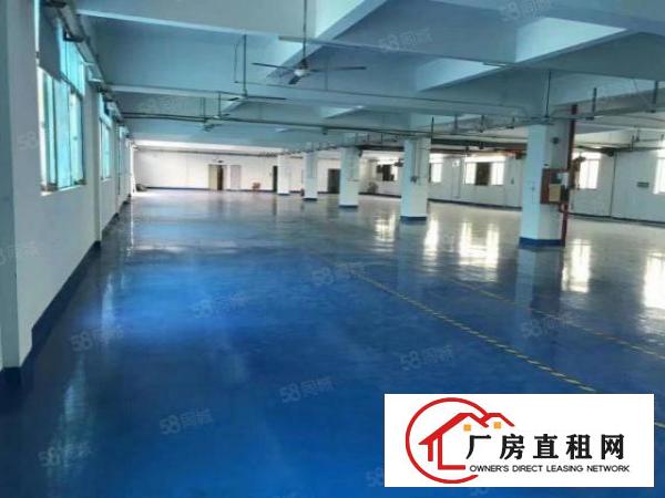  大工业区红本精装厂房1550平方出租现成装修水电可分租二楼