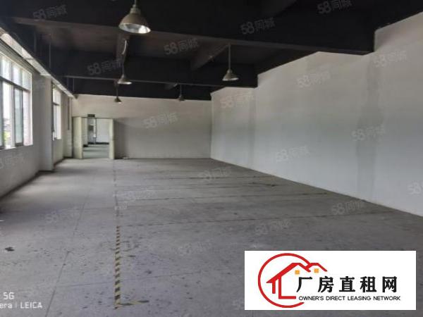  碧岭独院厂房出租近横坪快速1590平整层出租可分租原房东