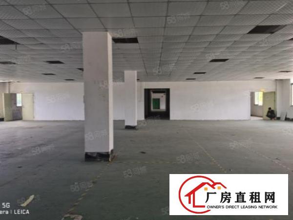  碧岭独院厂房出租近横坪快速1590平整层出租可分租原房东