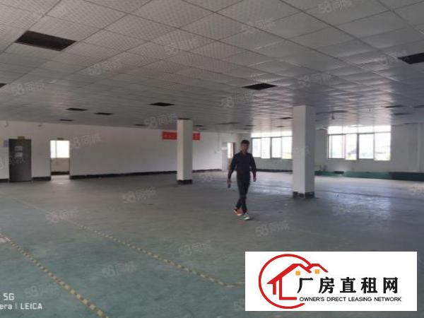  碧岭独院厂房出租近横坪快速1590平整层出租可分租原房东